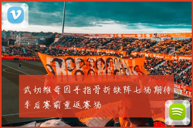武切维奇因手指骨折缺阵七场期待季后赛前重返赛场