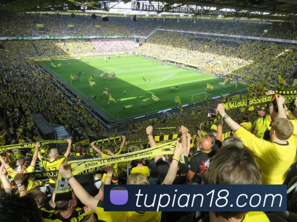 ky体育品牌故事