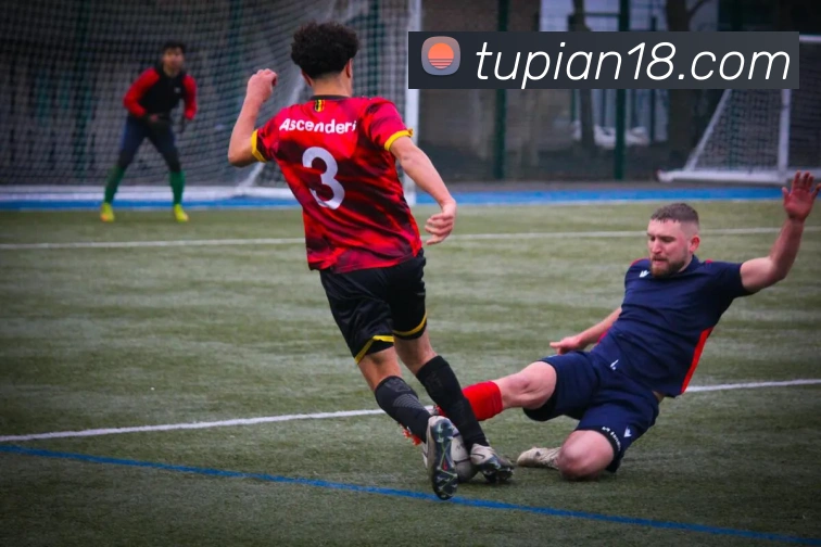 ky体育服务体系